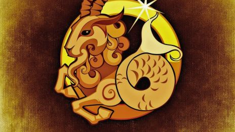 Spåtantens hemliga värld